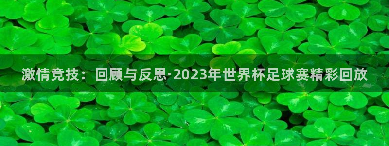 鼎天国际代理