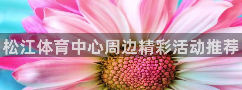 鼎天国际网页入口