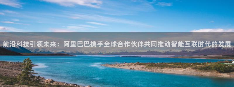 鼎天国际服com