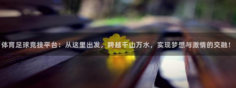 鼎天国际官网