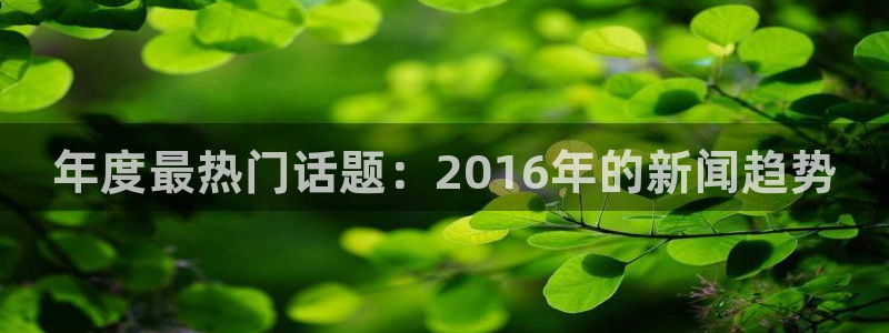 天津鼎天国际拍卖有限公司