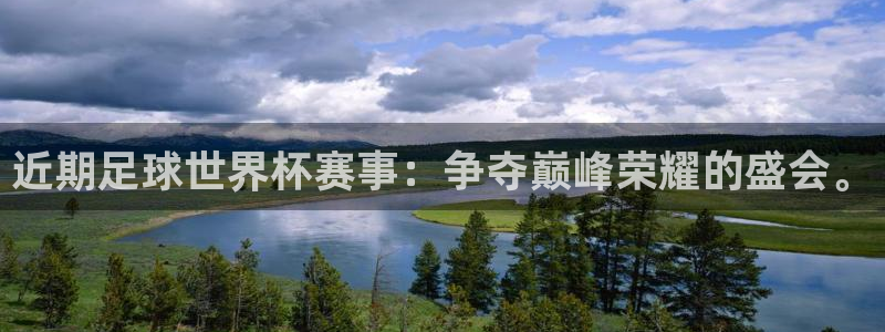 鼎天国际官网入口在哪