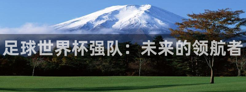 天津鼎天国际拍卖有限公司