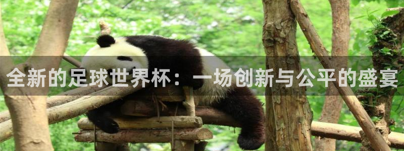 鼎天国际
