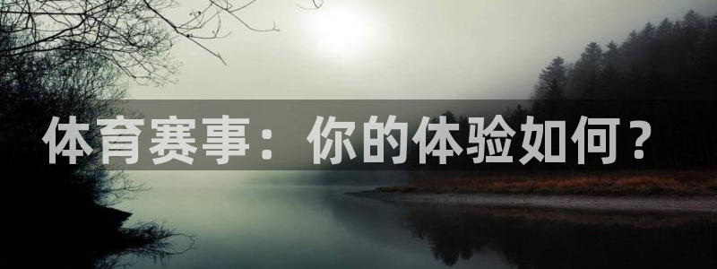 鼎天国际拍卖有限公司是不是正规的