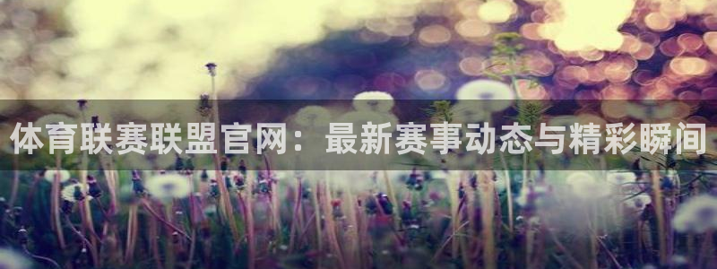 鼎天国际官网入口在哪