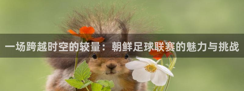 鼎天国际官网入口在哪