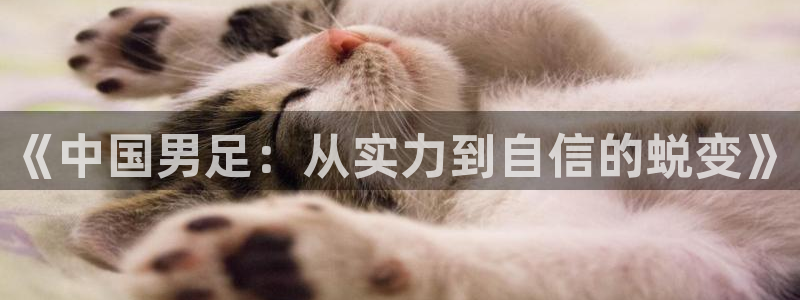 鼎天国际是哪个平台旗下的