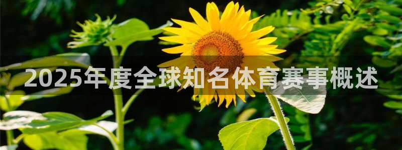 鼎天国际地址
