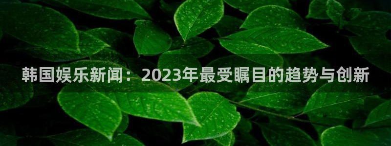 鼎天国际是哪个平台旗下的