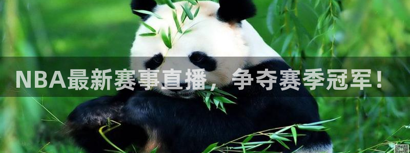 鼎天